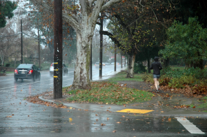 A soaking wet jogger runs through the rainstorm in Land Park.